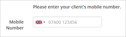GoClient13.png